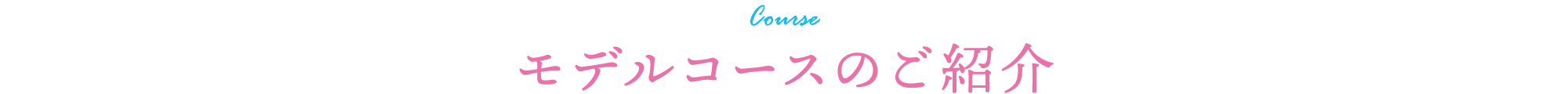 モデルコースのご紹介