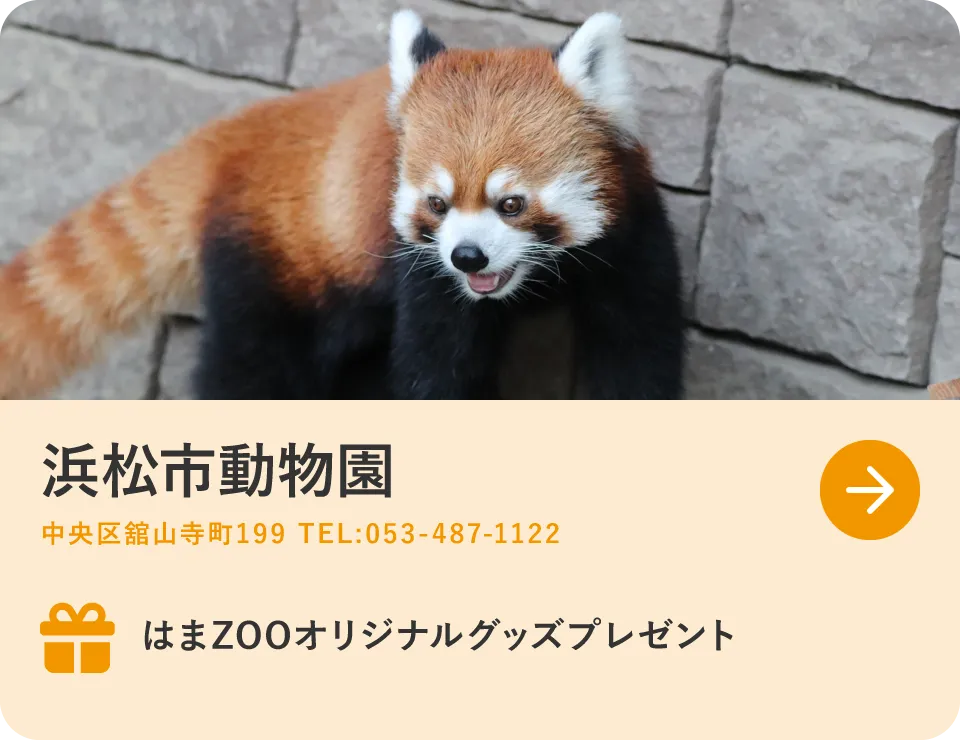 体験・イベント